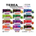 IQOS TEREA Indonesia Heated Tobacco Sticks