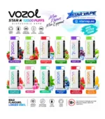 VOZOL Star 12000 Puffs Disposable Vape
